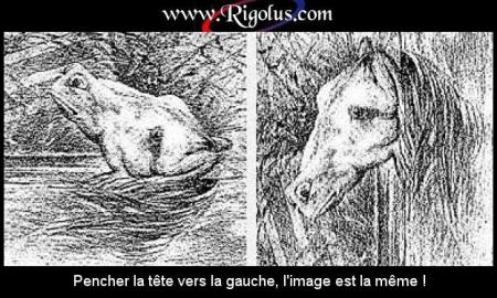 quelle effet